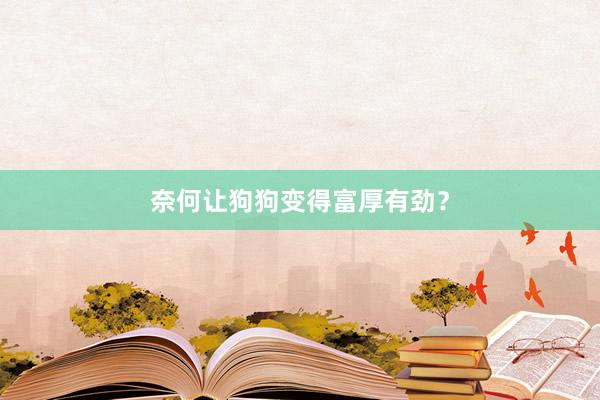 奈何让狗狗变得富厚有劲？