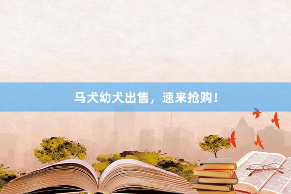 马犬幼犬出售，速来抢购！